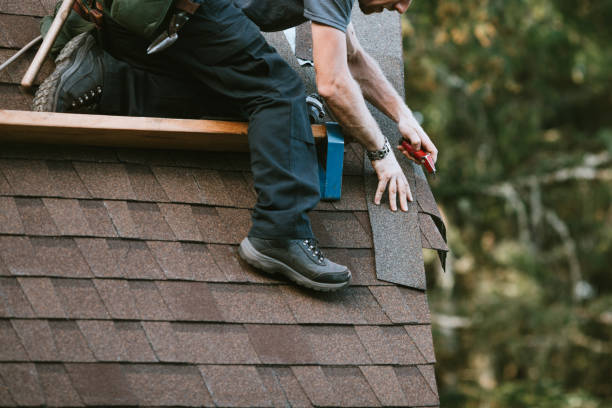 Best Roof Gutter Cleaning  in Fort Smith, AR